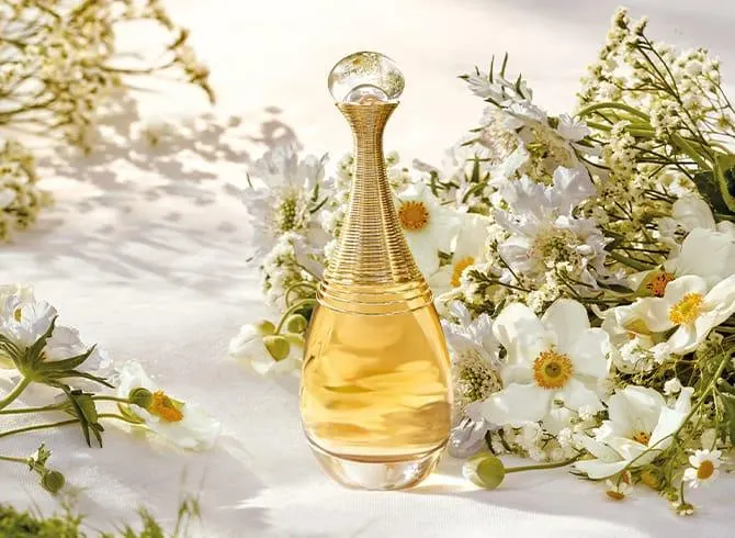 تصویر مرتبط با معرفی ۱۰ عطر برتر با رایحه گلی از رز تا یاس و مریم