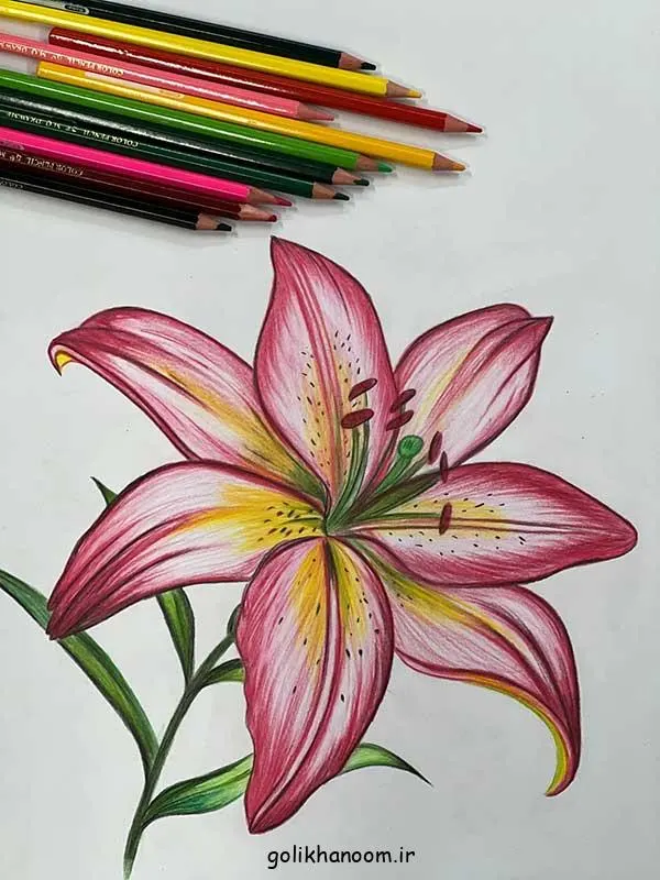 تصویر مرتبط با ایدههای جذاب نقاشی گل برای حاشیه دفتر مشق