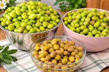 شیرین کردن زیتون تلخ بدون مواد شیمیایی به روش سنتی و طبیعی