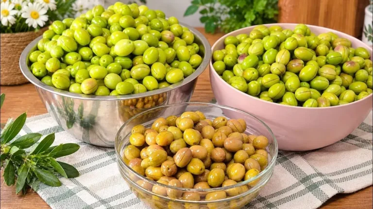 شیرین کردن زیتون تلخ بدون مواد شیمیایی به روش سنتی و طبیعی