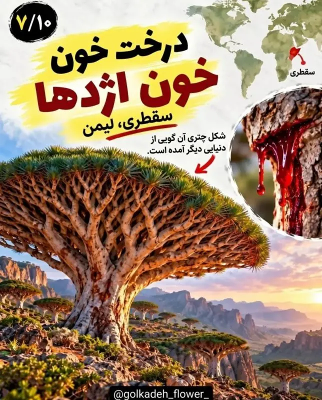 ۹ گیاه عجیب جهان که باور نمی کنید واقعی باشند