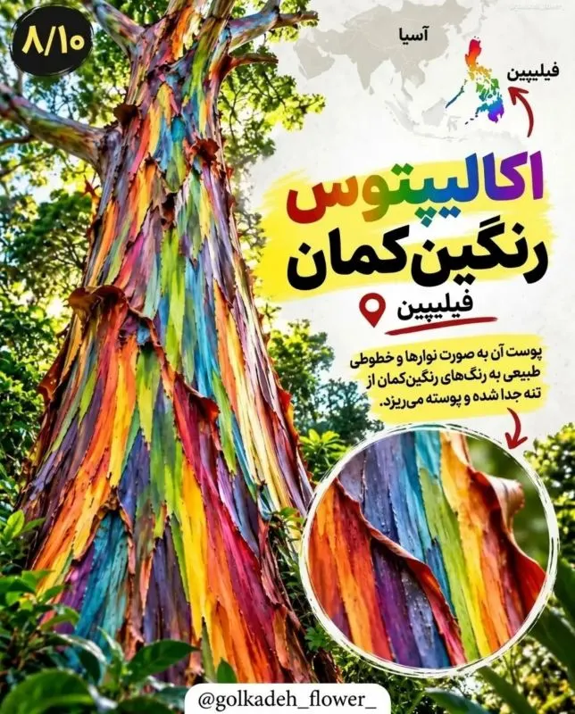 ۹ گیاه عجیب جهان که باور نمی کنید واقعی باشند