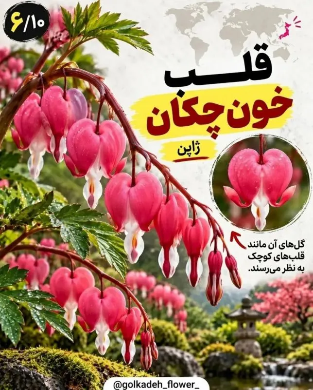 ۹ گیاه عجیب جهان که باور نمی کنید واقعی باشند