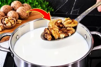طرز تهیه پنیر گردویی؛ پنیر گردویی خانگی با بافت خامهای و مغز گردو