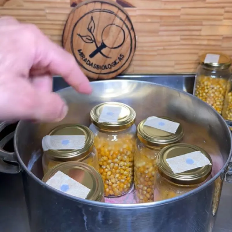 نمونه برداری از قارچ برای کشت