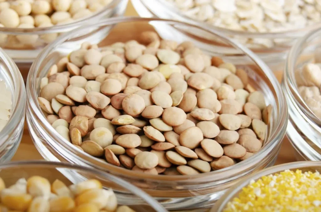 تصویر مرتبط با خواص عدس برای کودکان و راهکارهای متنوع مصرف آن