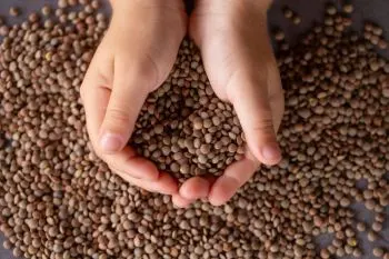 خواص عدس برای کودکان؛ کودک در حال خوردن غذای حاوی عدس